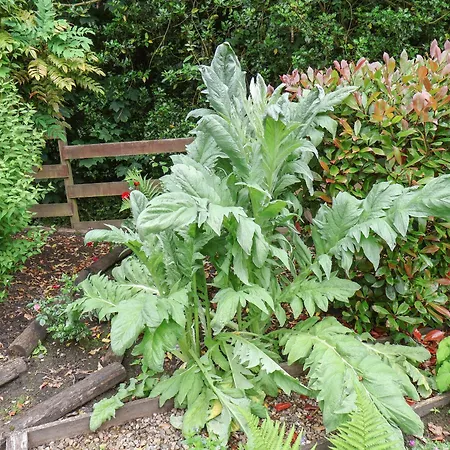 Σπίτι διακοπών The Old Sweet Shop Γουίτμπι