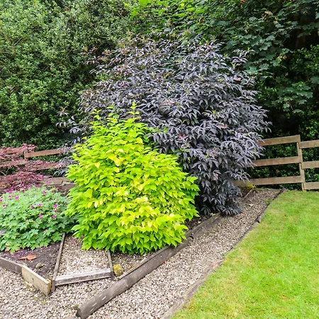 The Old Sweet Shop *